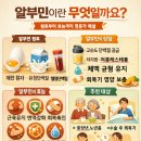 농협하나로유통 울산농산물종합유통센터 | 알부민, 어디에 좋은지 알고 드세요