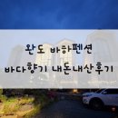 [완도여행] 완도 바하펜션 바다향기 내돈내산 솔직후기, 반값여행