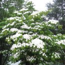 다람이마을 이미지