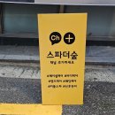 스파더숲 이미지