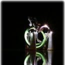 쏘가리상 이미지