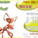 개미상점 이미지