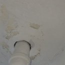 동성백두 이미지