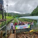 투어 팜(TOUR FARM)