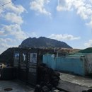 성산을본갈치조림구이제주성산일출봉점 | 성산일출봉 맛집 '성산을본갈치조림구이 제주성산일출봉점'