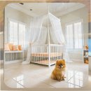 행신동물병원 | 행신 미니비숑분양 지역 기반 실전 선택 가이드