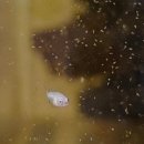 홈브리딩 이미지