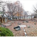 거북공원(농구장) 이미지