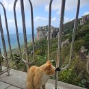 남해-11 | 2025년 10/7~10/11 남해•통영 여행 후기 (3)