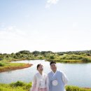 소피토제주