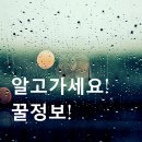 동방컨테이너 네이버블로그