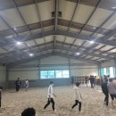 당진씨름장 이미지