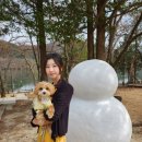 글램독가평 이미지