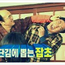 주연채널