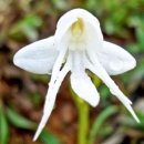 주공부동산뉴스공인중개사사무소 이미지