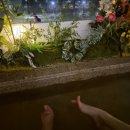 신장동로 140번길 이미지