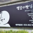 멜로디펫살롱 이미지