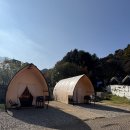 멍쥬 | 플로팅웨일 가평 멍글램핑 당일글램핑 솔직후기