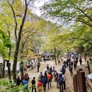 주왕암입구 | 주왕산 국립공원, 주왕암과 주왕굴