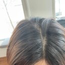 [서울 &#39;신사동미용실&#39;] 아베다 컨셉 살롱 라리엔 (아베다미용실, 가로수길미용실, 뿌리염색)