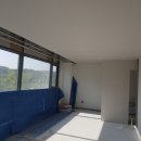 이루다 동물메디컬센터 이미지