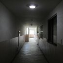 아리역로38번길 이미지