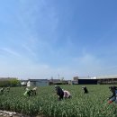 동부동행정복지센터 이미지