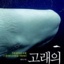 고래의 노래