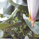 원주농장 이미지