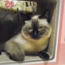 임당근린공원 이미지