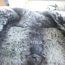 리가세탁 이미지