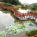 창원 목재문화체험장 이미지