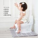 호비통상 | 아이팜 베이비 포티(유아 변기)_배변 훈련과 장난감 동시에