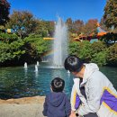 대장카랜드 이미지