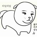 요요통닭 이미지