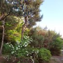 운악골 가평점 이미지