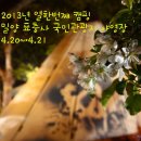 2013년 열한번째 캠핑(4.20~4.21) 밀양 표충사 국민관광지 야영장 이미지