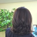 사파동204 이미지