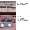 블루캣 디자인