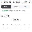 캠핑숲 이미지