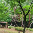 인천대공원(남문) 이미지