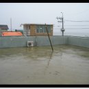 신신민박 이미지