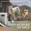 포레스트 펜션 | 완주 애견 동반 독채 펜션 댕댕포레스트 후기