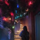 민트 | 이태원 핫플 루프탑 술집 | 할로윈엔 분위기 힙한 칵테일 맛집 &#39;더치민트&#39; 후기