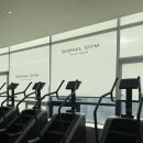 시그널짐 플레티넘 | [ 옥정 헬스장 피티 추천 ] 시그널짐 플래티넘 헬스 PT