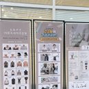 에스엔피이바른자세척추운동 - 천안시 서북구 불당22대로 92 | 에스엔피이바른자세척추운동