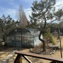 흙내음한옥펜션 이미지