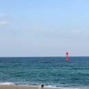 명성송이대게 이미지