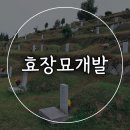 효장례토탈의전;효장묘개발