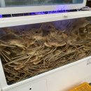 하대동243 이미지